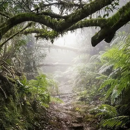 Apartamento Privado Con Piscina Apartment